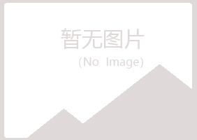 连山区冰彤冶炼有限公司